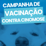 Nova Venécia terá campanha de vacinação contra a Cinomose para cães no dia 9 de maio