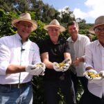 Governador realiza abertura oficial da colheita do café arábica no Espírito Santo