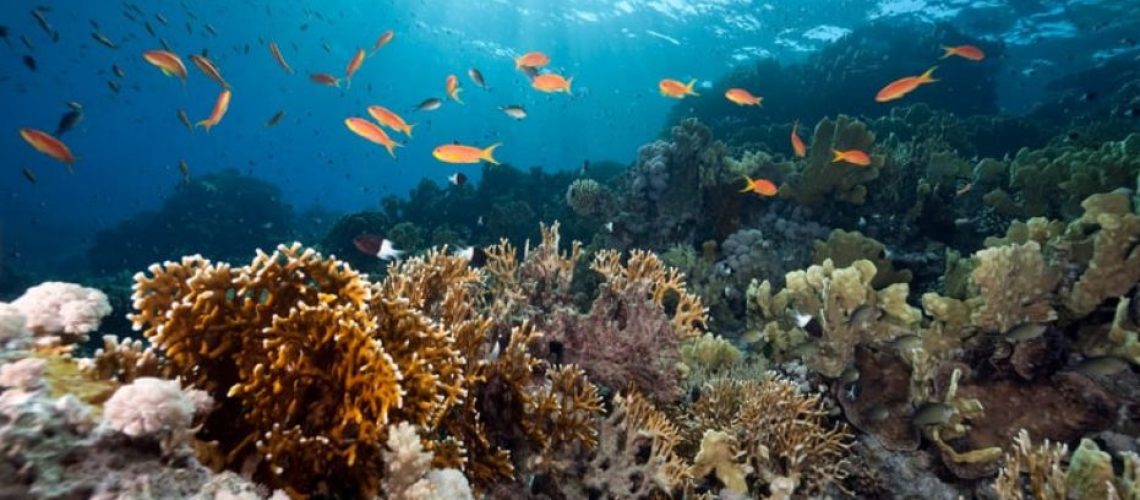 Maior encontro capixaba sobre Ciências Oceânicas será realizado no dia 2 de julho em Vitória